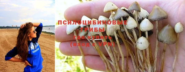 ALPHA PVP Володарск