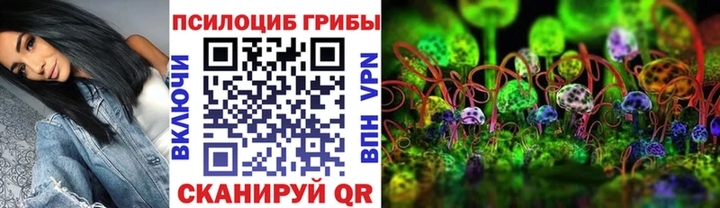 Псилоцибиновые грибы MAGIC MUSHROOMS  купить  цена  Володарск 